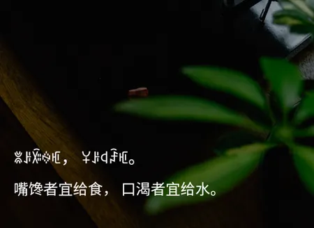 彝文翻译通(彝文翻译) 彝文翻译通(彝文翻译)