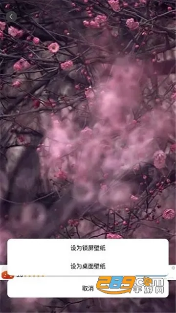 ��ֽ����(��ֽ����)v2.7.4 ��׿��
